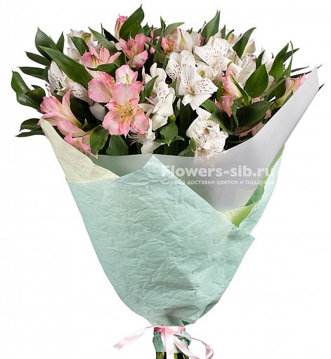 Цветы альстромерия купить казань купить цветы в интернет магазине